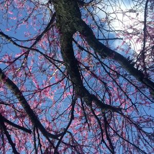 Meet your Posher, Medland